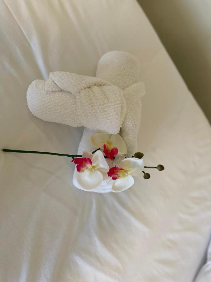 Liber Guest House Braga Ngoại thất bức ảnh